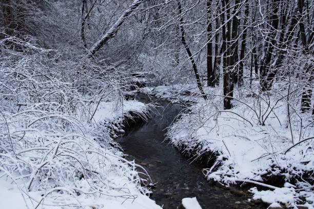 istock Narrow river in a winter forest covered with snow 1444074534