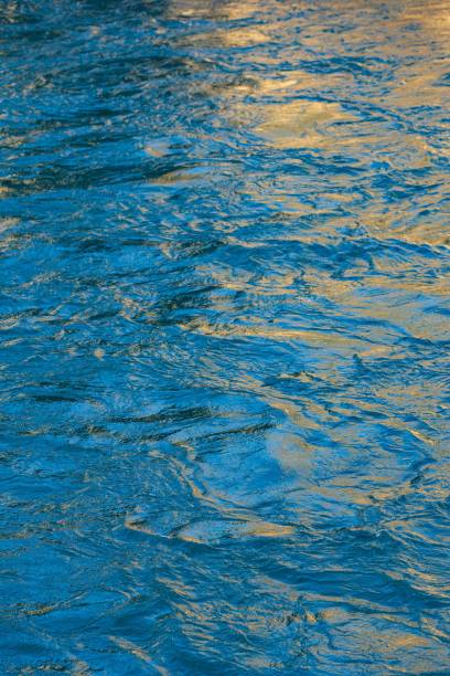 istock Vertical shot of a crystal blue water 1444075044