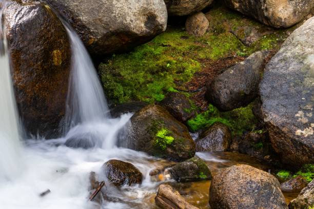 Free Stock Photo of Rushing waterfall over moss-covered rocks and ...
