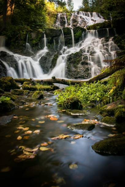 istock Vertical shot of a beautiful waterfall in the forest 1444075916