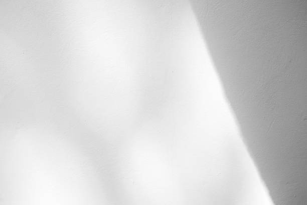 istock White Concrete Wall Texture Background with Light Bokeh and Shadow of Tree Branch on the Surface. 1444076336