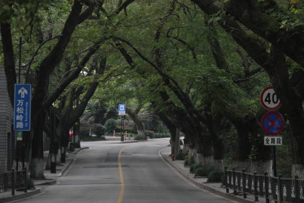 istock Empty road with street signs passing through trees 1444076859