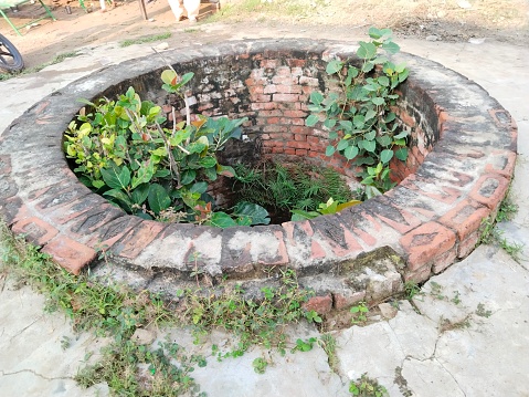 the old water well constructed of stone in the background of field and trees in India. Old well made of red bricks located in village.