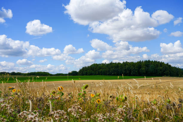 istock Landscape near Marsberg. Nature with agricultural fields. 1444078928