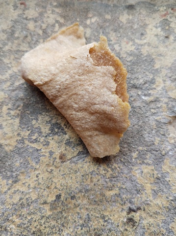 a piece of bread is placed on the ground, Closeup roti is traditional food of India.