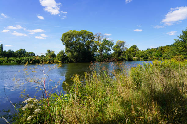 Nature at the Fulda. landscape by the river.