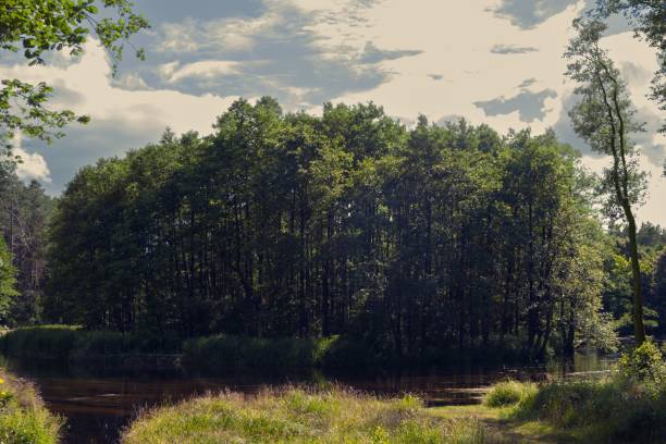 istock Forest with the Czarna Hancza river stretching from Poland to Belarus 1444079829