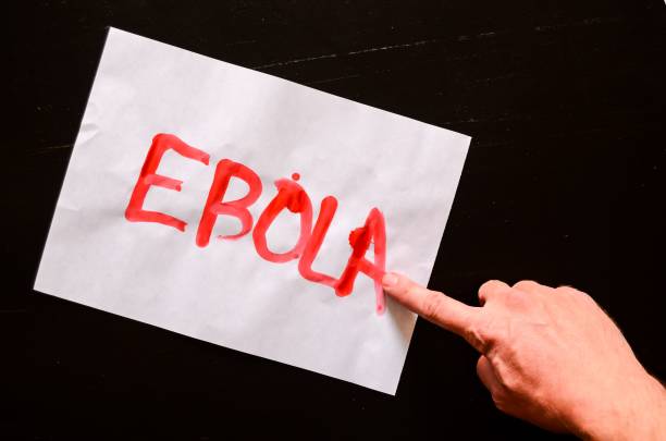 istock Word Ebola text written with blood on a white paper pointed by a woman's finger 1444080625