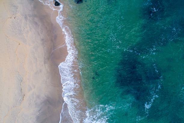 istock AERIAL VIEW OF A EMPTY BEACH WITH TURQUOISE WATERS 1444081691