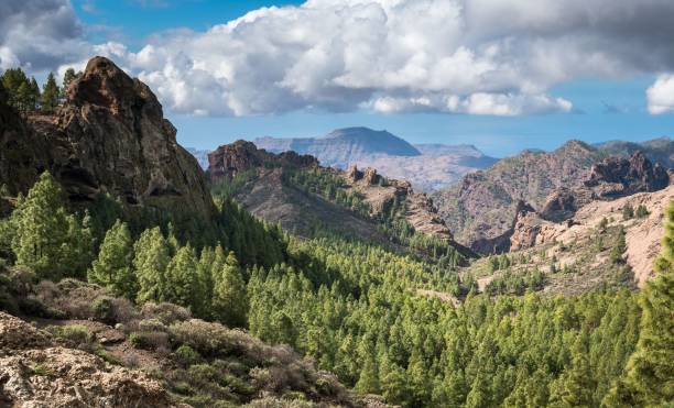 istock Rocky mountain and forest landscape against a cloudy sky 1444082398