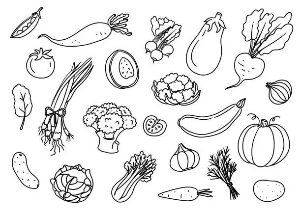 Vector illustration of Vegetables doodle drawing collection in line style