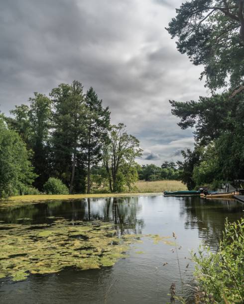istock Staffordshire Lake Water With Algae Sunny Da 1444083325