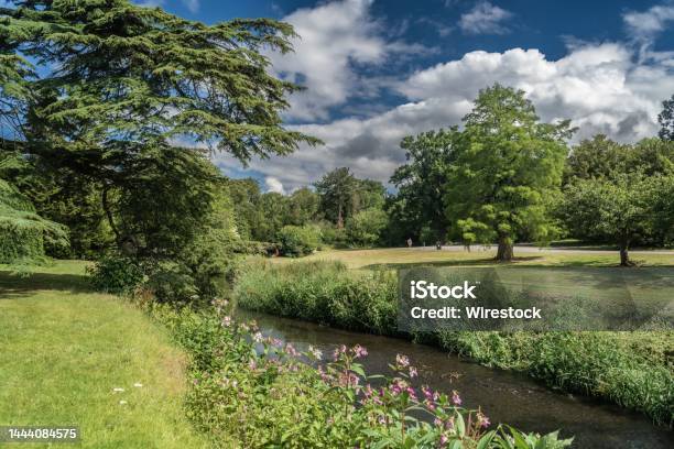 River Trent Sunny Day Landsca Stock Photo - Download Image Now - Trent River, Beauty, Color Image