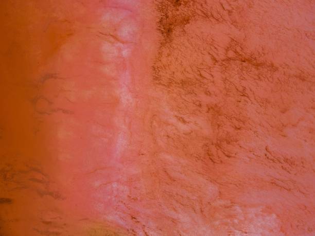 istock Orange salt lake in Western Australia 1444084600