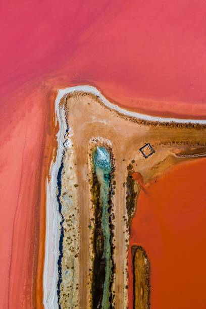 istock Aerial view of pink salt 1444084631