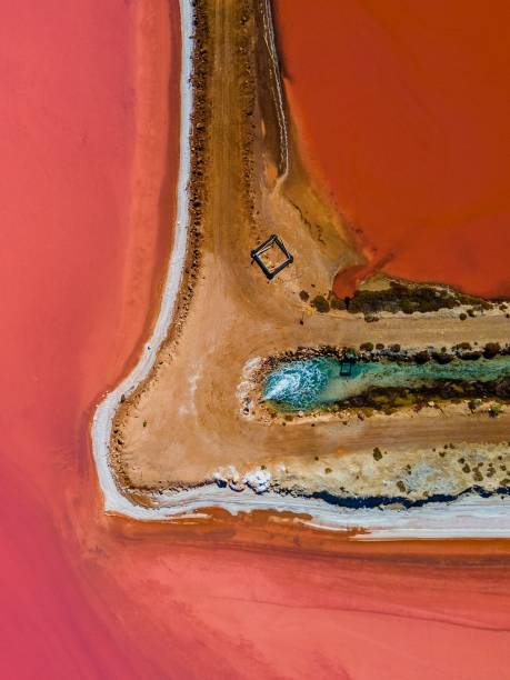 istock Aerial view of pink salt 1444084637