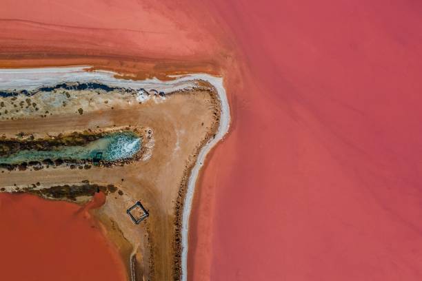 istock Aerial view of pink salt 1444084653
