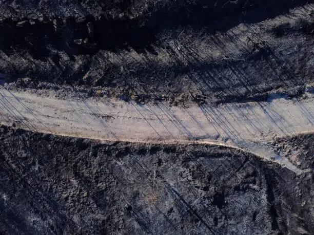 Photo of Aerial photo of a forest track in a burnt forest, Galicia. Spain.