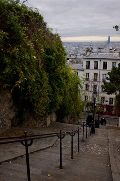 istock Staircase to Montmartre 1444092239