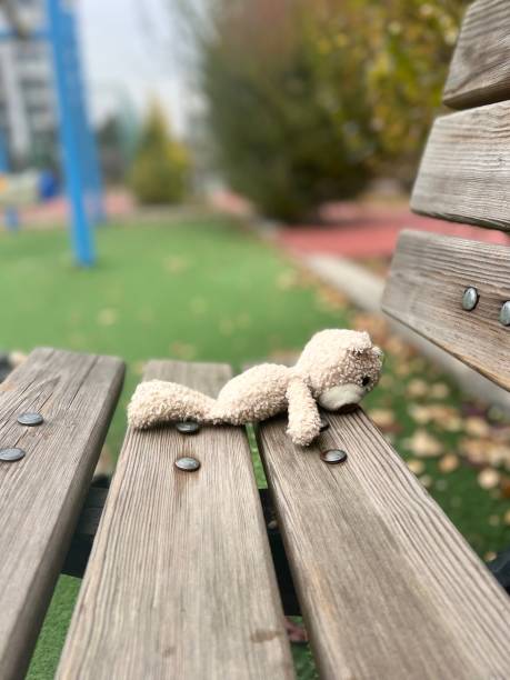 Abandoned toy on wooden bench in a park