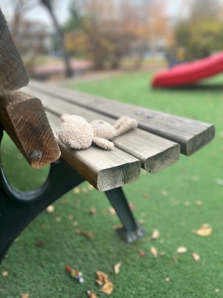 istock Toy on wooden bench in a park 1444096112