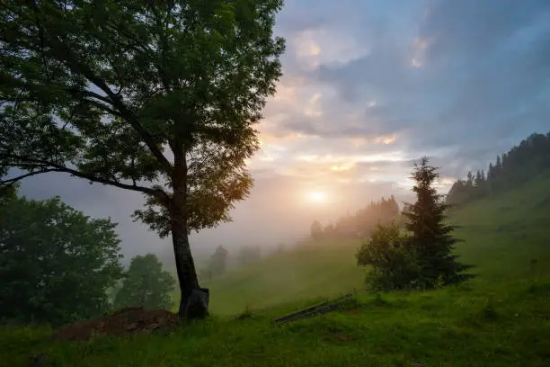 Beautiful summer sunset scene in the mountains with spectacular sky and fog. Mystical landscape. Location place Carpathian mountains, Ukraine, Europe.