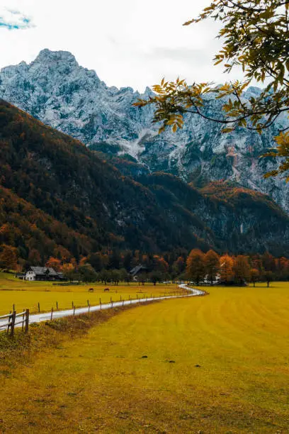 Logar valley or Logarska dolina in the Alps of Slovenia in autumn.