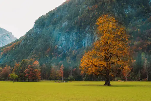 Logar valley or Logarska dolina in the Alps of Slovenia in autumn.