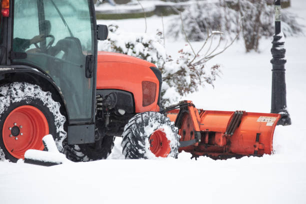 istock Tractor cleaning urban park paths on a cold snowy day. 1444101633