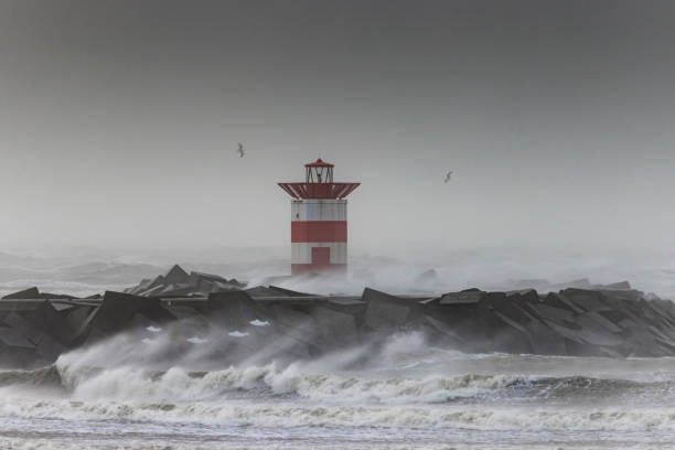 istock Storm Eugene hits the coast of the Netherlands at Scheveningen 1444106328