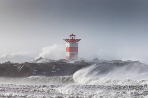 istock Storm Eugene hits the coast of the Netherlands at Scheveningen 1444106396