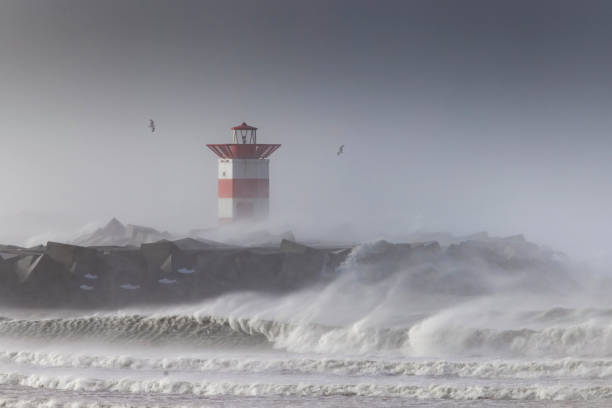 istock Storm Eugene hits the coast of the Netherlands at Scheveningen 1444106484