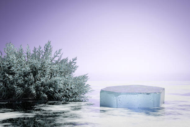 istock 3d render Abstact stage podium background, ice stone podium on the frozen river with bush tree and violet sky for product display, mock up and showcase, Nature realistic platform 1444107203