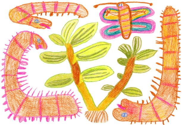 Compost worms Hand drawn artwork of red wigglers, plant and butterfly eisenia fetida stock illustrations