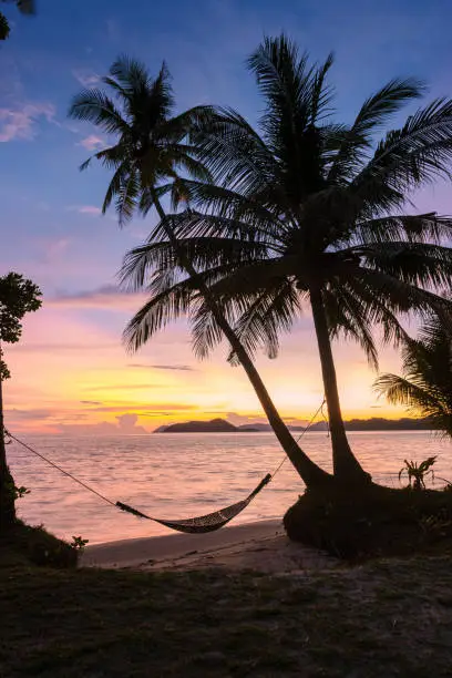 sunset on the beach with palm trees and a hammock, Koh Mak Island Thailand. beautiful colorful sunset on the beach at a tropcial island