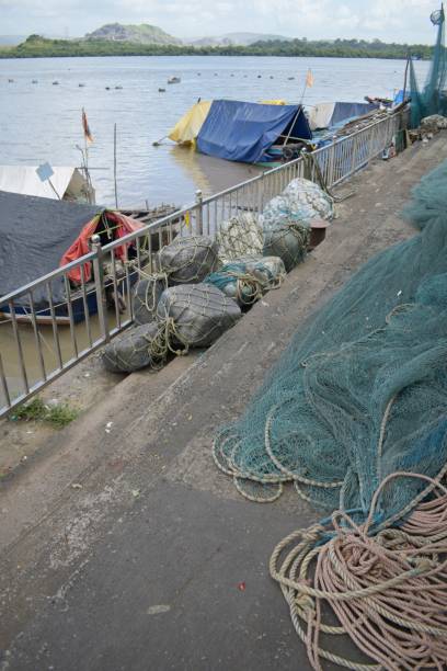 fishing  harbour in navi mumbai , india