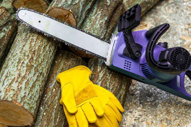 electric chain saw and protective leather work gloves stock photo