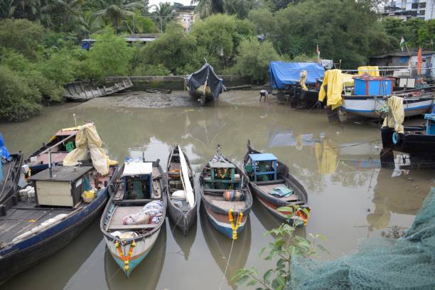 istock fishing  harbour in navi mumbai , india 1444111524
