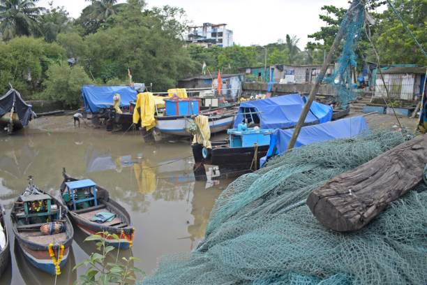 istock fishing  harbour in navi mumbai , india 1444111539