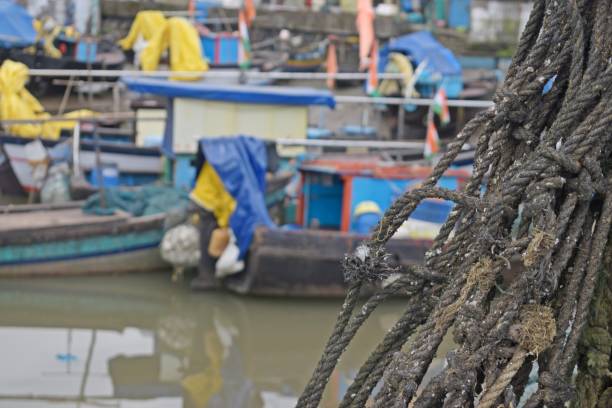 istock Fishing harbour in mumbai , india 1444113305