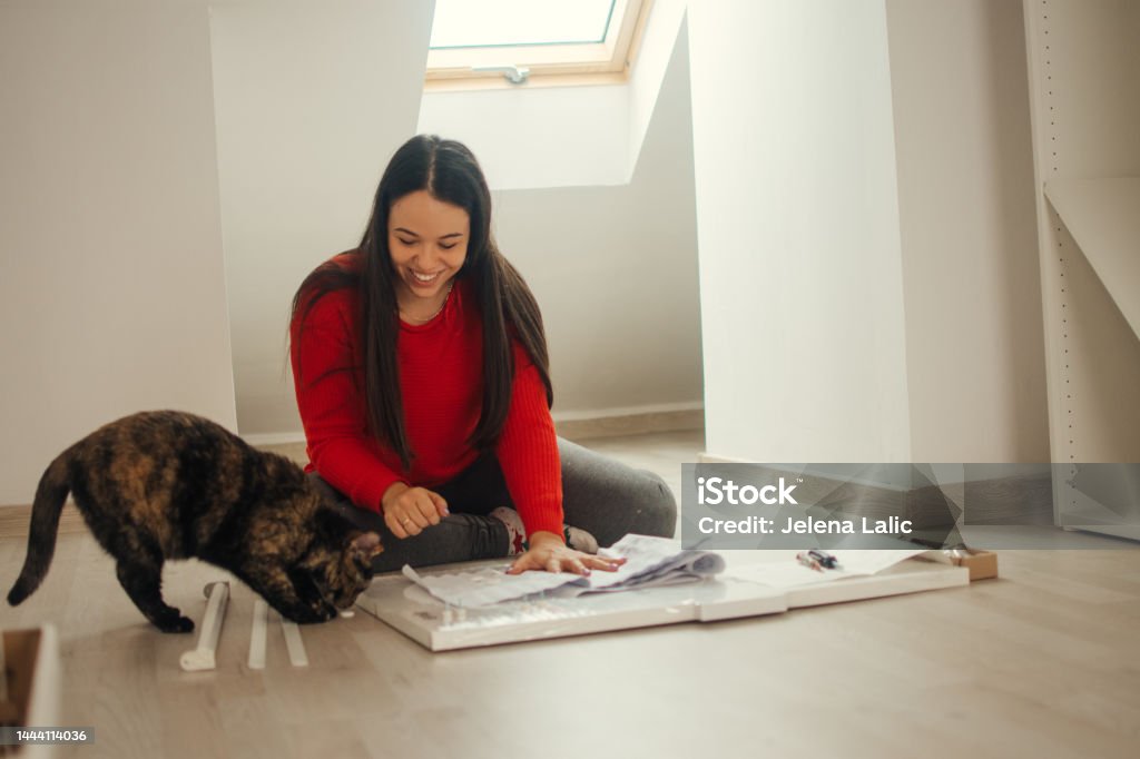 Everything in more fun with a cat Adult Stock Photo