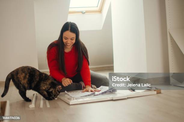 Everything In More Fun With A Cat Stock Photo - Download Image Now - Adult, Adults Only, Animal