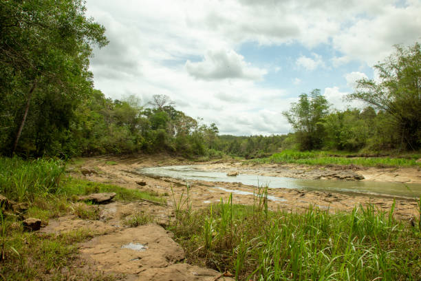 istock A scenic view of calm creek 1444116630