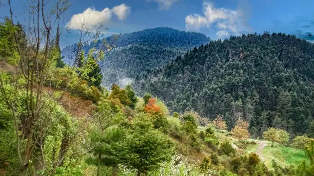 Photo of Landscape view of mountains in Arkadia, Greece.Nature, Green landscapes.