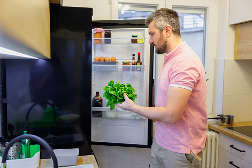 Man standing by the open fridge in the kitchen and holding lettuce for making healthy home meal, simple living routine