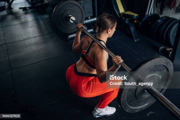 Fit Woman Training With Weights Stock Photo - Download Image Now - Squatting Position, Gym, Health Club