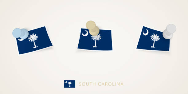 꼬인 모서리가있는 다양한 모양의 사우스 캐롤라이나의 고정 된 국기. 벡터 압정 평면도입니다. - us state department 이미지 stock illustrations