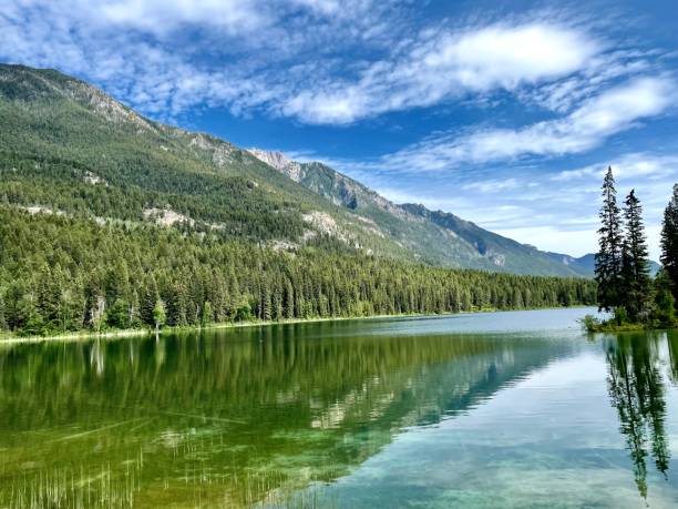 istock Serene green lake with blue skies, mountains and trees 1444133786
