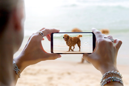 She is photographing a dog on the beach. Woman taking a photo with the camera of a smartphone. Shooting a picture of her pet with a mobile phone.
