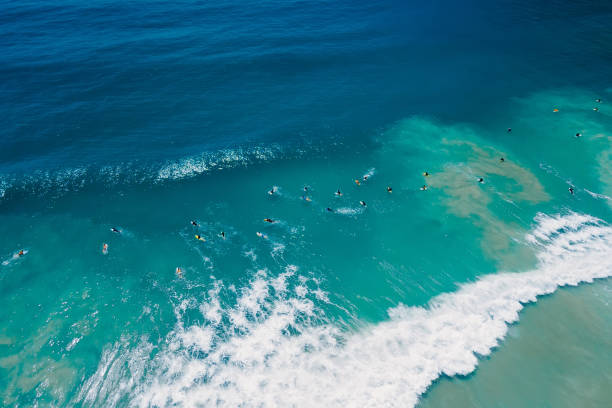 istock Surfers in blue ocean on surfboard and waves. Aerial view 1444141166